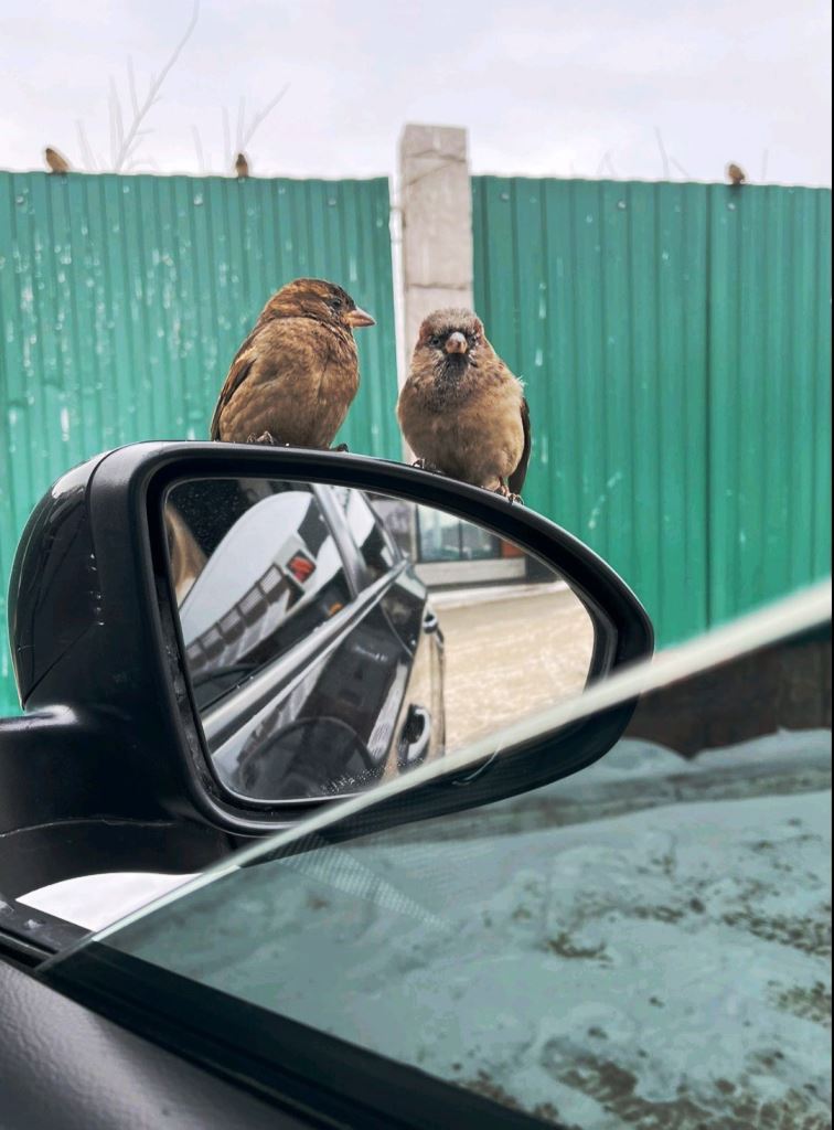 Конкурс фотографий