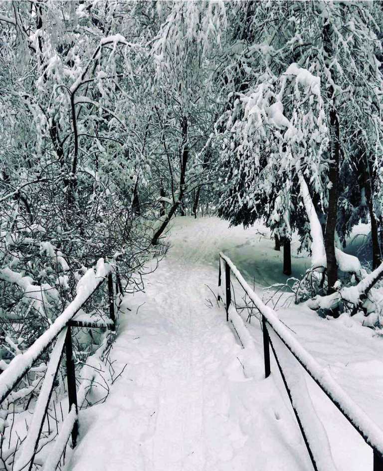 Конкурс фотографий