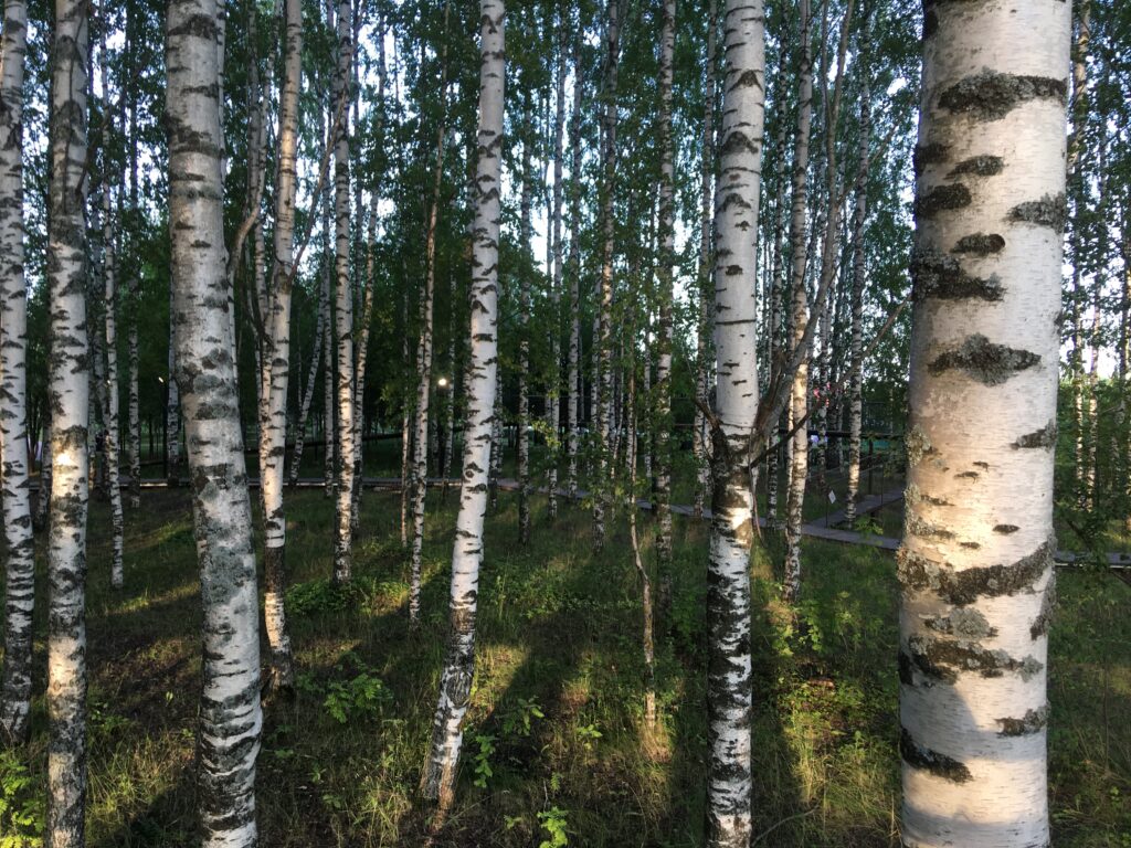 Конкурс фотографий